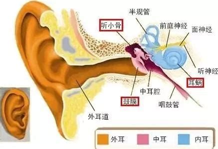 右耳癢代表什麼